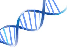 Ilustração contendo uma cadeia de DNA em um fundo branco.